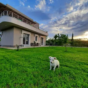 Hilltop Hideaway Bed & Breakfast Elbasan